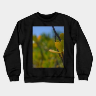 Beach Mangrove 3 Crewneck Sweatshirt